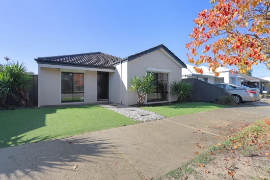 12 Rosegum Pass, Baldivis, WA 6171
