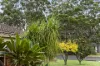 12 Ross Avenue, Narrawallee, NSW 2539-Image