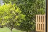 12 Ross Avenue, Narrawallee, NSW 2539-Image