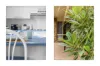 12 Ross Avenue, Narrawallee, NSW 2539-Image