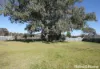 12 Sapphire Street, Tingha, NSW 2369-Image