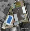 12 Seaflower Crescent, Craigie, WA 6025-Image