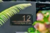 12 Seascape Close, Palm Cove, Qld 4879-Image