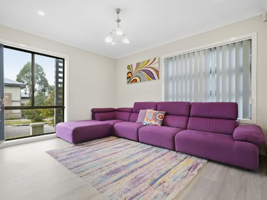 12 Selwyn Avenue, Minto, NSW 2566-Image