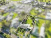12 Service Road North, Moe, Vic 3825-Image