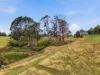 12 Shepperds Lane, Elliott, Tas 7325-Image