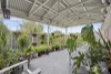 12 Simson Street, Carisbrook, Vic 3464-Image