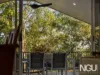12 Solander Court, Karana Downs, Qld 4306-Image