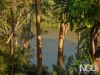 12 Solander Court, Karana Downs, Qld 4306-Image
