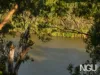 12 Solander Court, Karana Downs, Qld 4306-Image