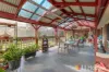 12 Somerset Grove, Craigmore, SA 5114-Image