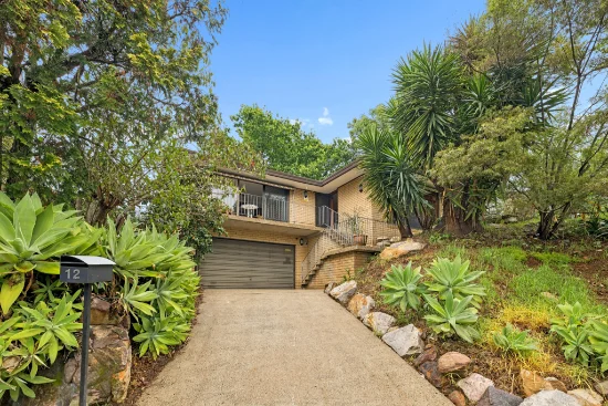 12 Sorlie Avenue, Northmead, NSW 2152