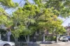 12 Spring Street, Birchgrove, NSW 2041-Image