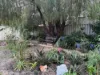 12 Sprint Close, Middle Swan, WA 6056-Image