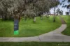 12 Stanlake Rise, Templestowe Lower, Vic 3107-Image