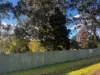12 Station Street, Forrest, Vic 3236-Image