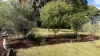 12 Tanamera Drive, Alstonville, NSW 2477-Image