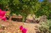 12 TERRY COURT, Araluen, NT 0870-Image