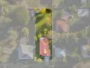 12 Thagoona Haigslea Road, Thagoona, Qld 4306-Image