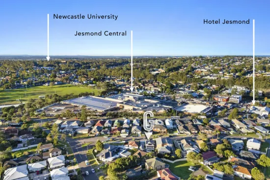 12 The Crescent, Wallsend, NSW 2287-Image