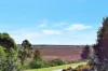 12 Threlkeld Crescent, Fletcher, NSW 2287-Image