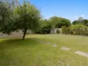 12 Toagara Street, Rye, Vic 3941-Image