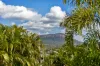 12 Tomkins Street, Cluden, Qld 4811-Image