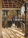12 Toxteth Road, Glebe, NSW 2037-Image