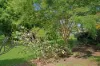 12 Treviso Court, Urangan, Qld 4655-Image