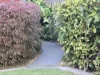 12 Treviso Court, Urangan, Qld 4655-Image