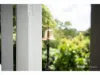 12 Tulip Street, Maleny, Qld 4552-Image