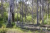 12 Walker Place, Redgate, WA 6286-Image
