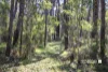 12 Walker Place, Redgate, WA 6286-Image