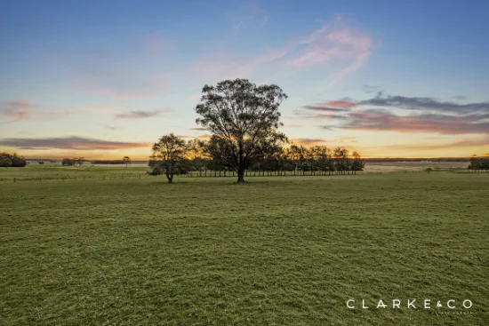 12 Warrigal Close, Brandy Hill, NSW 2324