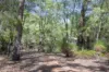 12 Warrior Way, Molloy Island, WA 6290-Image