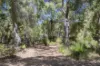12 Warrior Way, Molloy Island, WA 6290-Image