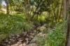 12 Weston Drive, Bunya, Qld 4055-Image