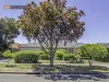 12 Wildflower crescent, Hoppers Crossing, Vic 3029