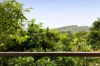 12 Wilson Lane, Woombye, Qld 4559-Image