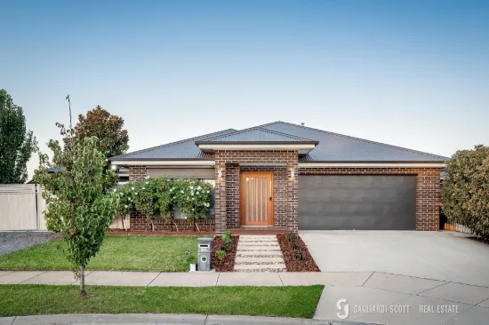 12 Wollemi Drive, Shepparton North, Vic 3631