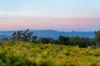12 Wooldridge Street, Mount Lofty, Qld 4350-Image