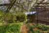 12 Wyles Place, Flynn, ACT 2615-Image