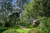 120 Alstonvale Road, Alstonvale, NSW 2477-Image