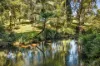 120 Alstonvale Road, Alstonvale, NSW 2477-Image
