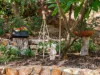 120 Connell Avenue, Martin, WA 6110-Image