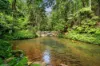 120 Davis Road, Garradunga, Qld 4860-Image