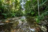 120 Davis Road, Garradunga, Qld 4860-Image