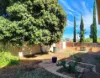 120 Elliott Street, Whyalla Playford, SA 5600-Image