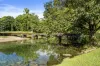 120 Harvey Creek Road, Bellenden Ker, Qld 4871-Image