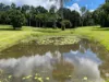 120 Highland Drive, Julatten, Qld 4871-Image